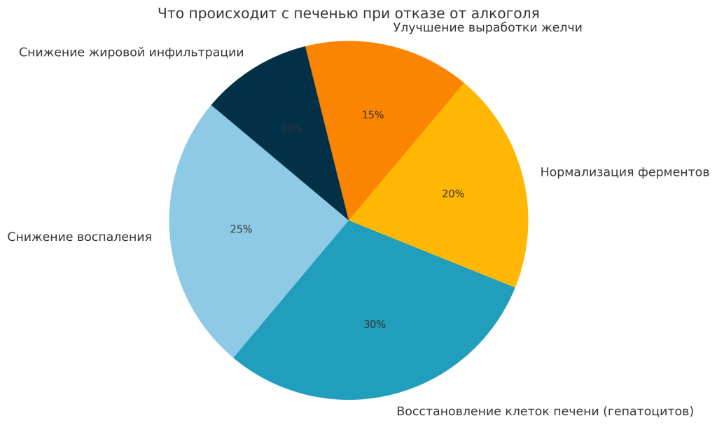 Что происходит с печенью при отказе от алкоголя